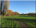 Path through Holywater Meadows