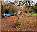 Wooden squirrel on a tree stump, Drybrook