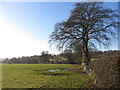 Footpath and field boundary near Manmoel