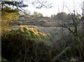 Gruffy ground at St Cuthbert