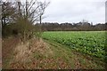 Farmland near Hubbard