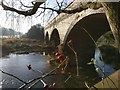 Great Central Way viaduct across the River Biam