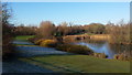 Bedworth Heath pond