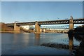 NZ2463 : River Tyne Bridgescape by Anthony Foster