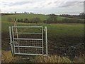 New gates on the bridleway