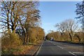 ST7763 : Autumn colour by Claverton Down Road by David Smith