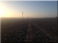 Footpath around Dunton