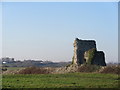 Part of the Pevensey Castle Walls