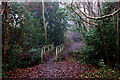 Footbridge on the Ardingley path