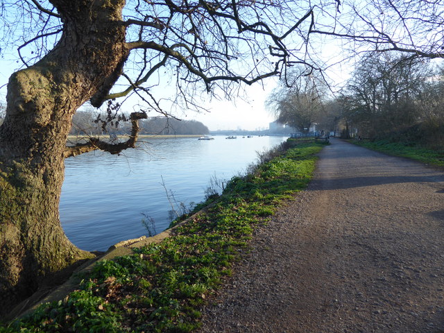 The Thames Path towards Putney