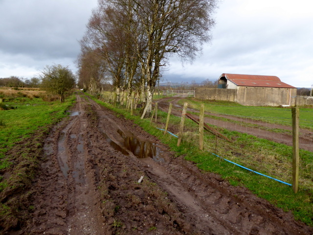 Muddy lane, Cloghfin