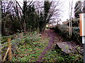 Path past the edge of a quarry, Drybrook