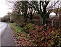 Visibility mirror, Hawthorn Road, Drybrook