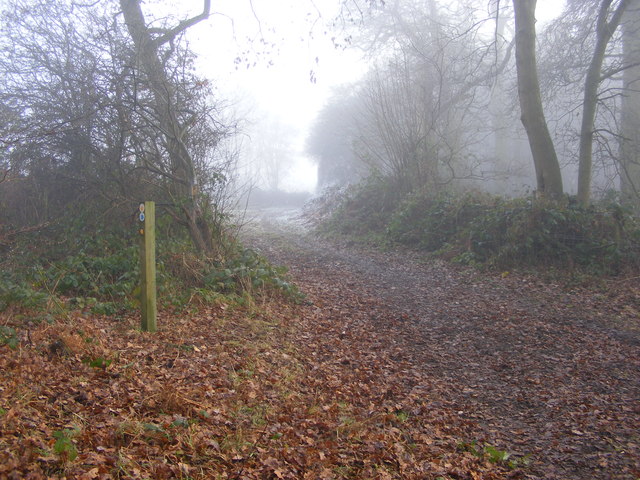 Misty Way Junction