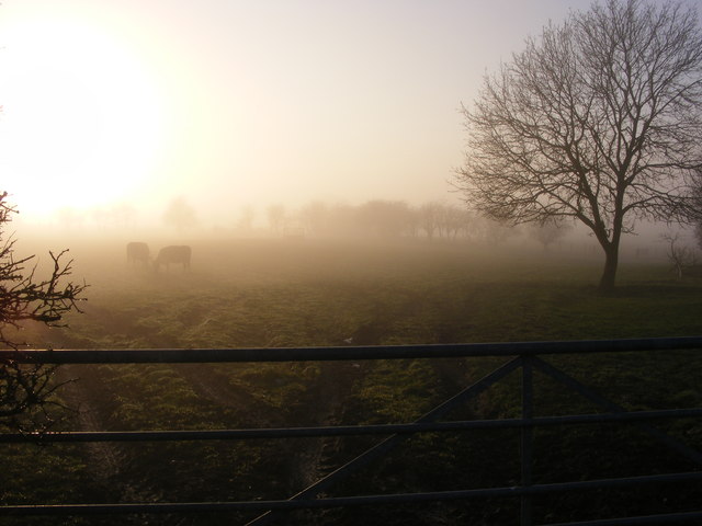 Farm in the Mist