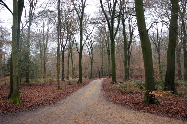 Crossroads of two bridleways, Lower Highmoor