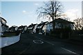 Houses, Hawthorn Avenue