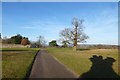 Track in Knole Park