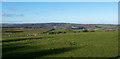 Fields north-west of A692