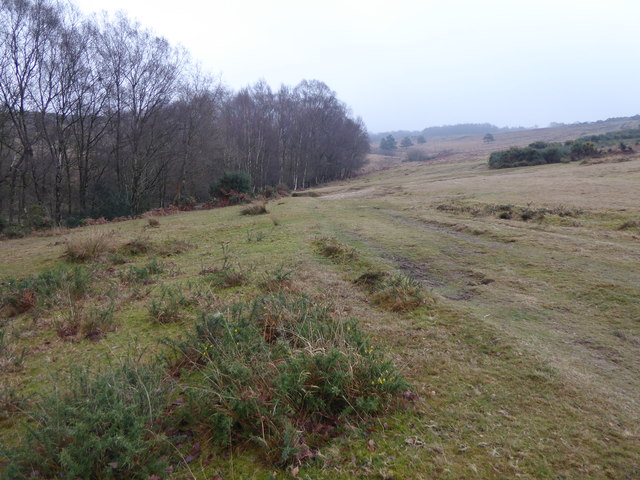 Open heath above Millbrook Valley © Marathon cc-by-sa/2.0 :: Geograph ...