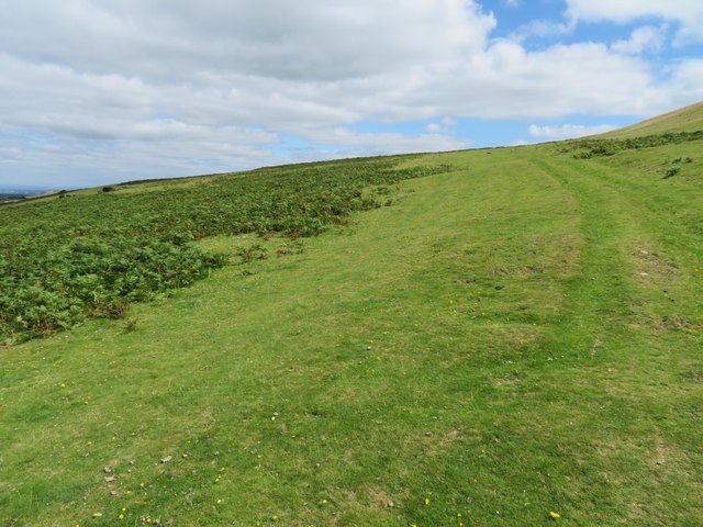 Farm track - Longstone Hill