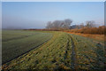 Riverside path towards Cawood