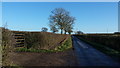 Coal Pit Lane in winter sunshine