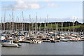 W6450 : Kinsale:  Boats in harbour by Dr Neil Clifton