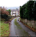 Houses near the top of Trinity Hill, Pontywaun