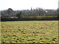 Looking across field from footpath