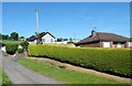 Bungalows at Darkley