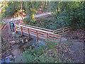 Footbridge: Glan-dwr, Nevern