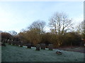 St Mary, Oxted: a frosty churchyard (c)