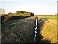 Narrow drain, Haxey Carr