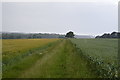 Footpath to Aylesham