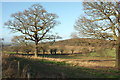 SE2944 : Farmland near Weardley by Derek Harper