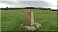 Clack Hill Trig Point, Market Harborough