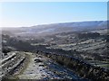 East Allen Dale around Spartylea