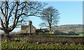 Houses at Bolton Abbey