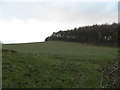 Field at Knockhill