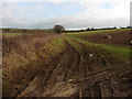 Farm track, south of Pitney