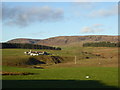 Farmland at Benthead