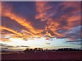 Sunset over Wester Covsea Farm