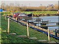 Marina at Brigg