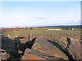 Rocks by the Cricket Ground