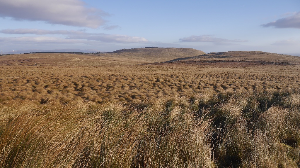 Tussocky moorland, Kilsyth Hills © Richard Webb cc-by-sa/2.0 ...