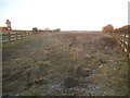 Field between Colemans Green Lane and High Street Sandridge