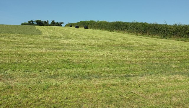 Harvested grass field, Ash Mill