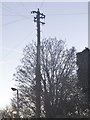 Old style telegraph pole on The Hill, Wheathampstead