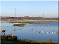 SE4202 : Partially frozen mere at RSPB Old Moor by Graham Hogg
